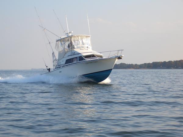 33' Bertram 1980 - Yacht for Sale | Bluewater Yacht Sales