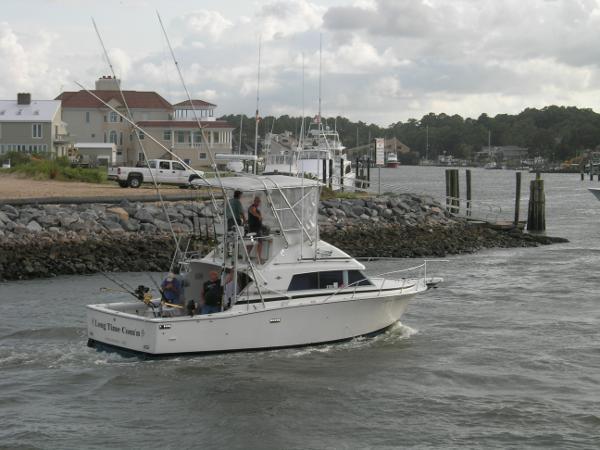 33' Bertram 1980 - Yacht for Sale | Bluewater Yacht Sales